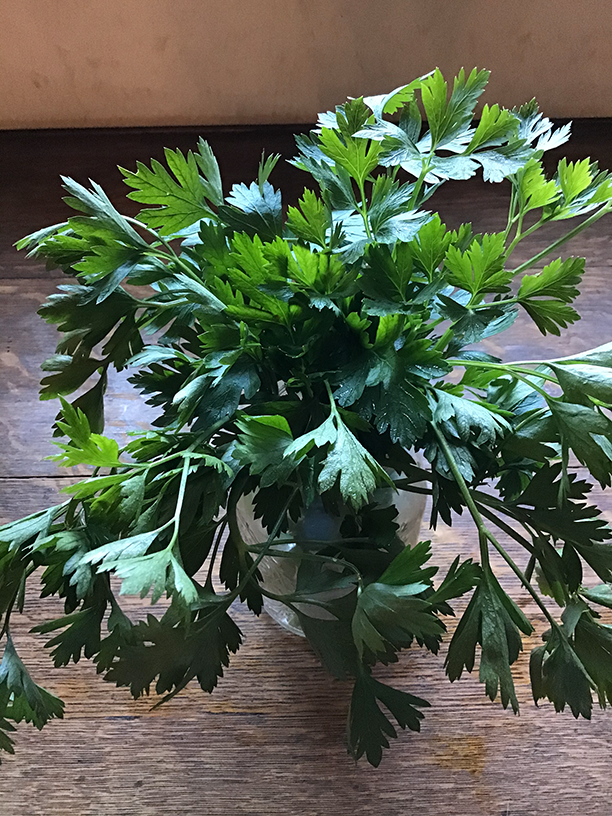 parsley